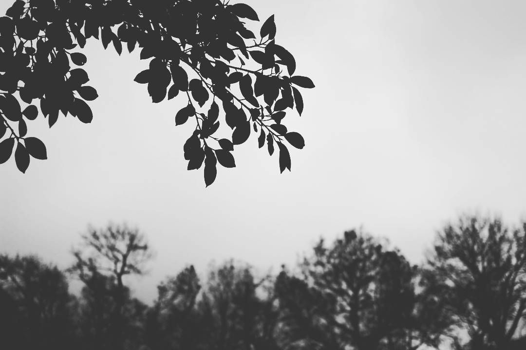 p-2016-12-10-13-31-01-000-1-BektvGWf